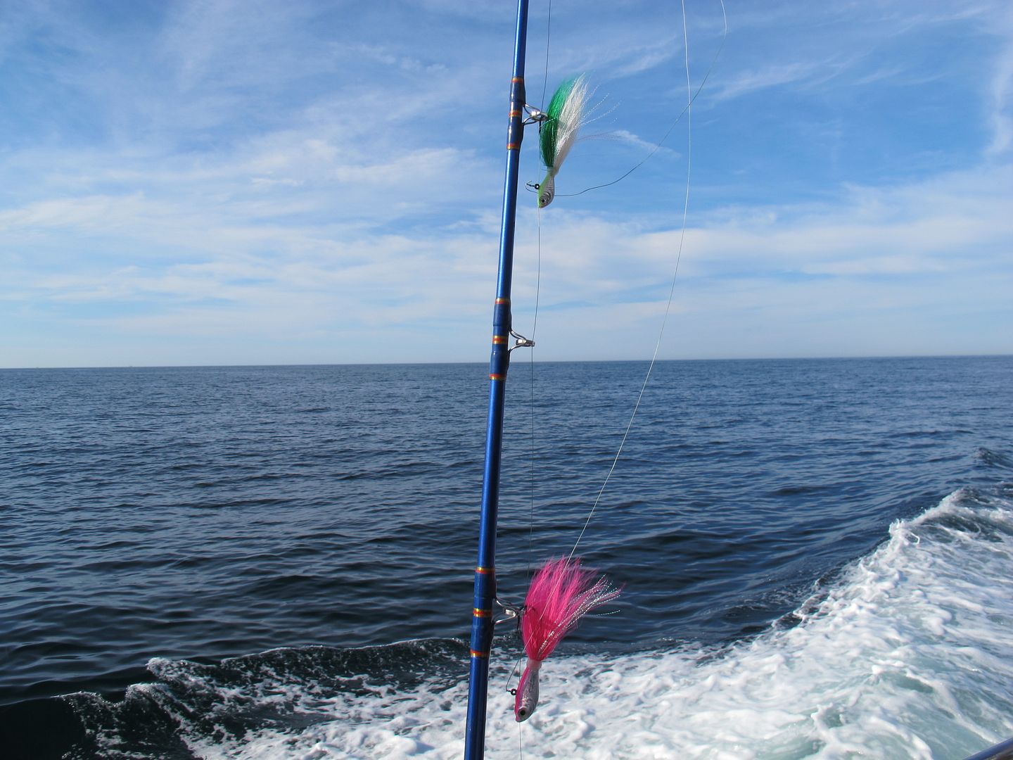 Why bucktail/jigs work for fluke ? BASS BARN